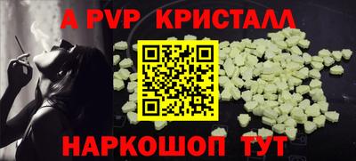 СК Гагарин