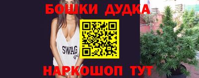 дмт Гатчина