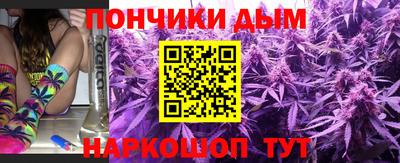 дмт Гатчина