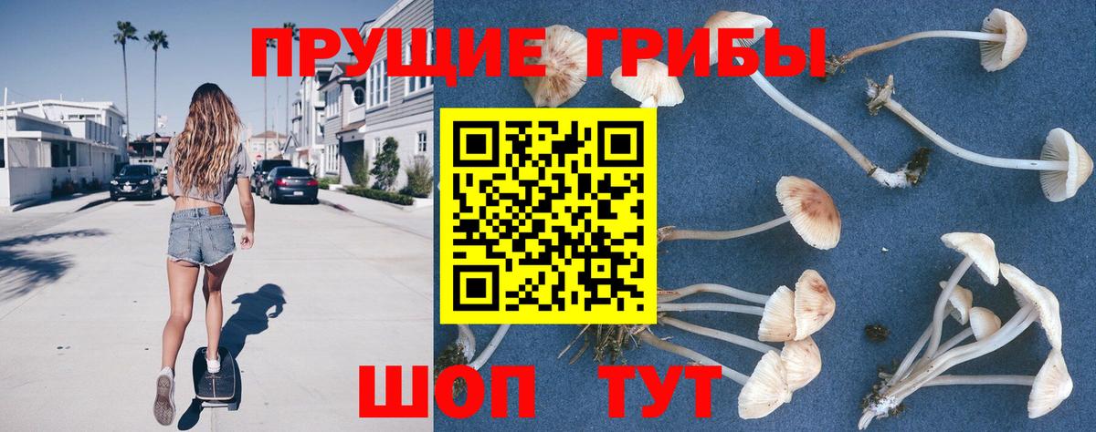 Псилоцибиновые грибы мухоморы  Вход с VPN  Шелехов  Псилоцибиновые грибы Psilocybine cubensis 