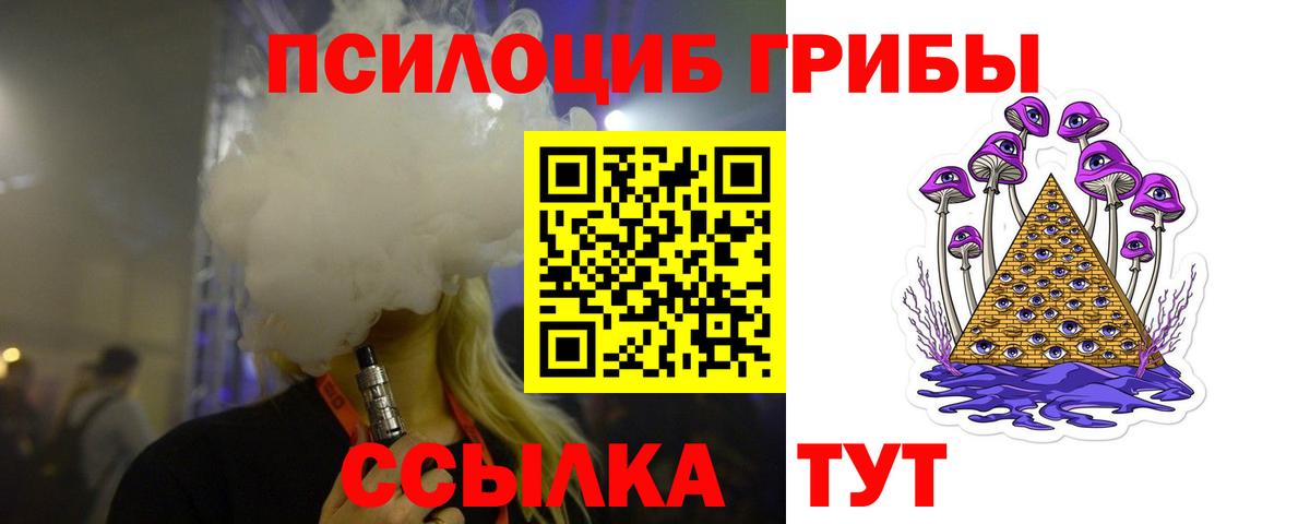 Галлюциногенные грибы Cubensis Шелехов